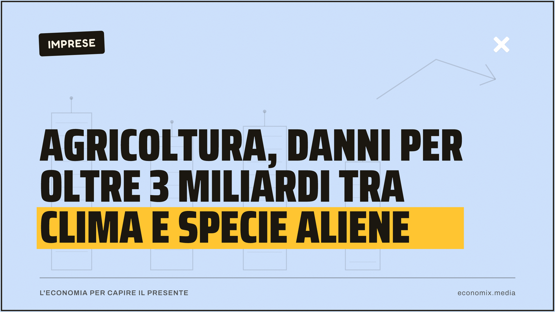 Agricoltura, danni per oltre 3 miliardi tra clima e specie aliene: immagine in evidenza per Economix