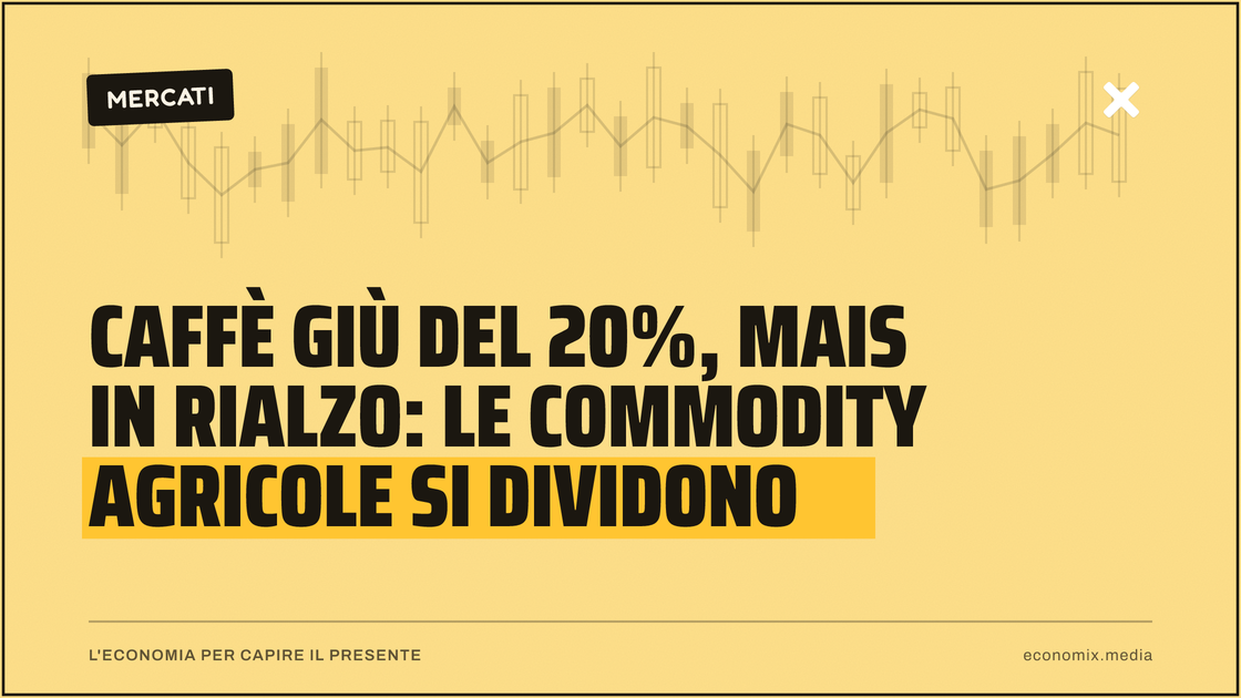 Caffè giù del 20%, mais in rialzo: le commodity agricole si dividono: immagine in evidenza per Economix