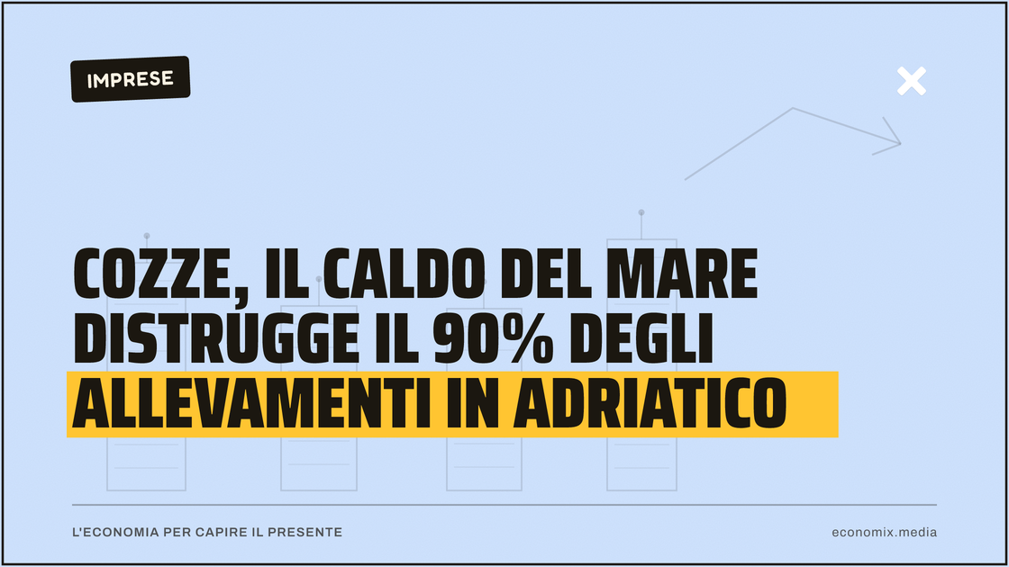 Cozze, il caldo del mare distrugge il 90% degli allevamenti in Adriatico: immagine in evidenza per Economix