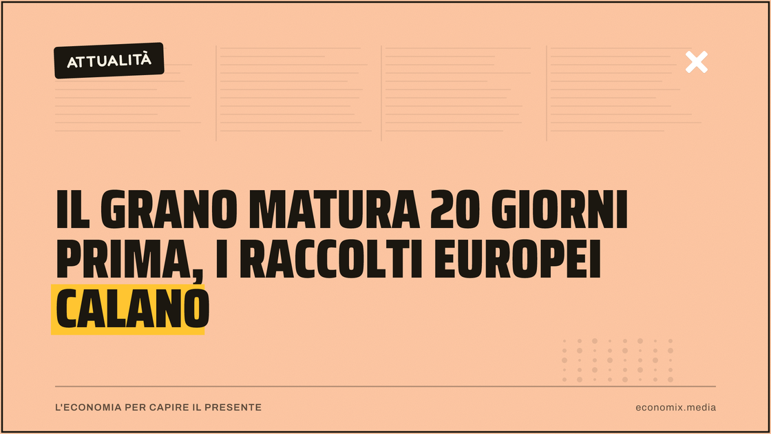 Il grano matura 20 giorni prima, i raccolti europei calano: immagine in evidenza per Economix