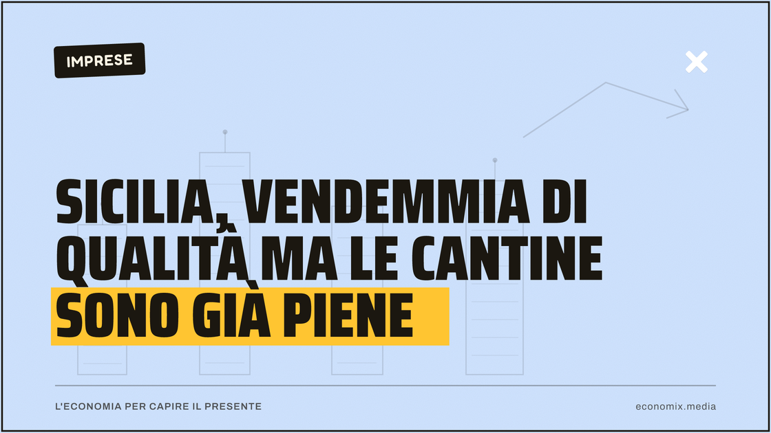 Sicilia, vendemmia di qualità ma le cantine sono già piene: immagine in evidenza per Economix