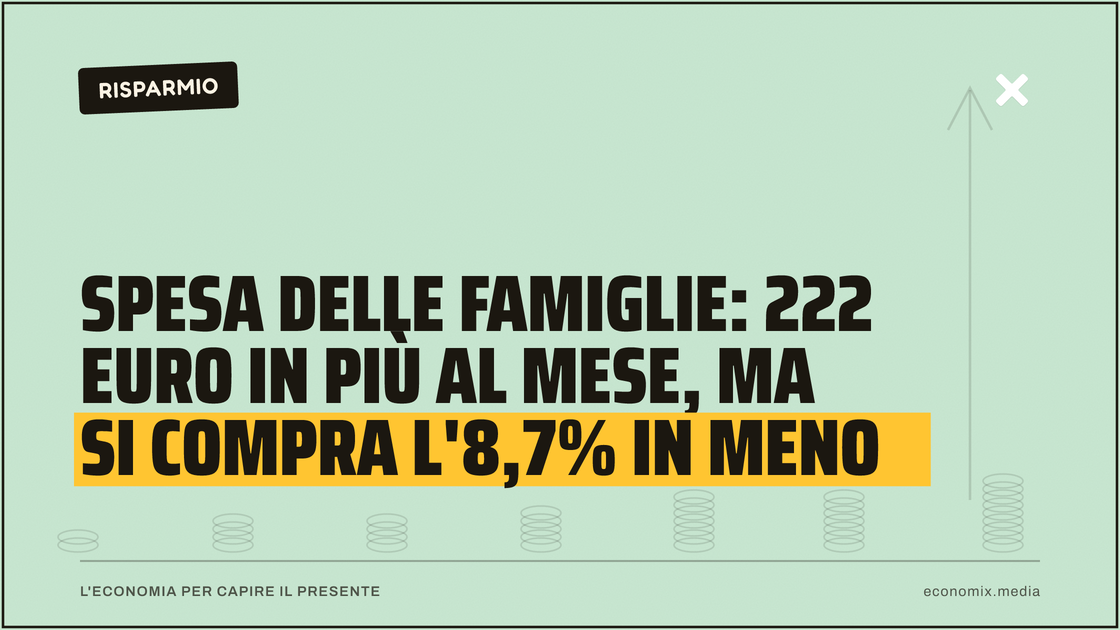 Spesa delle famiglie: 222 euro in più al mese, ma si compra l'8,7% in meno: immagine in evidenza per Economix