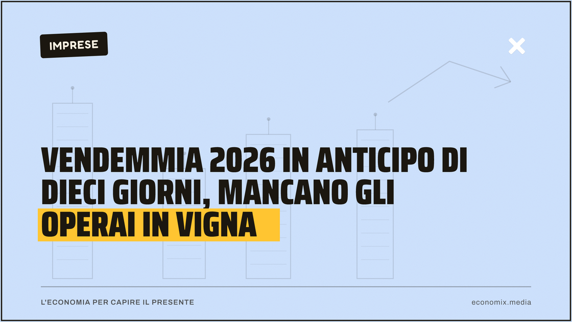 Vendemmia 2026 in anticipo di dieci giorni, mancano gli operai in vigna: immagine in evidenza per Economix